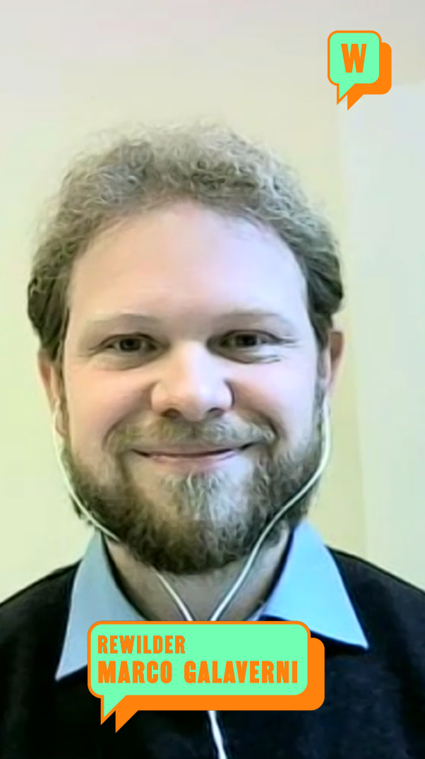 020 E VERT COPERTINA Marco Galaverni